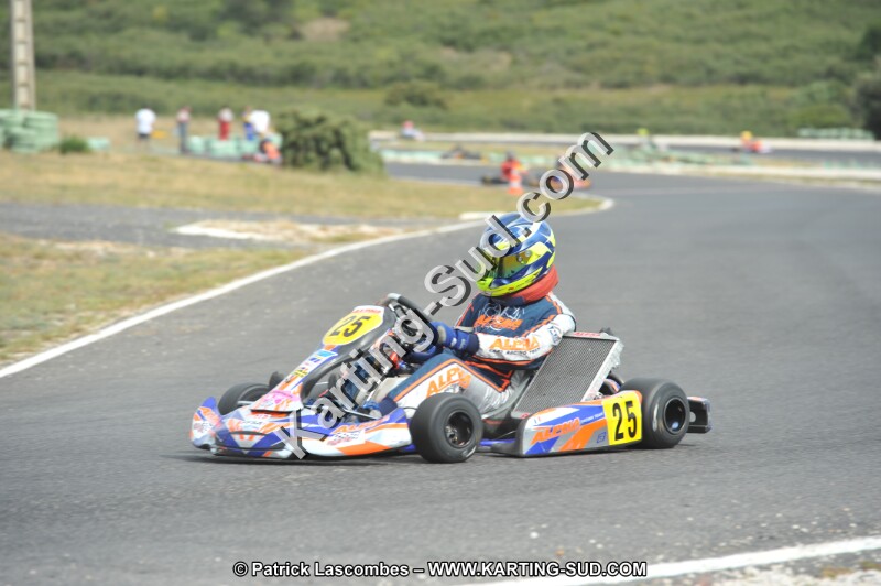 DSC (3556).JPG